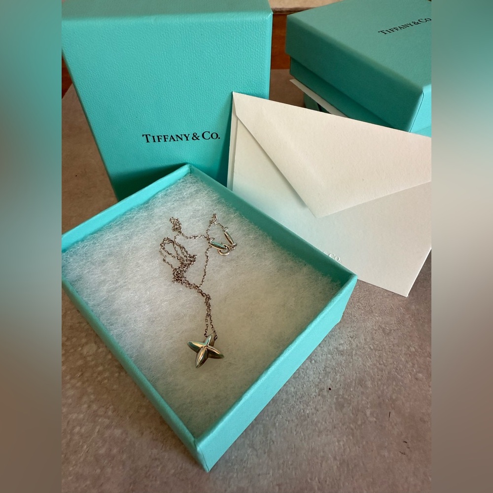 Tiffany & Co. Sterling Silver Sirius Star Pendant Necklace